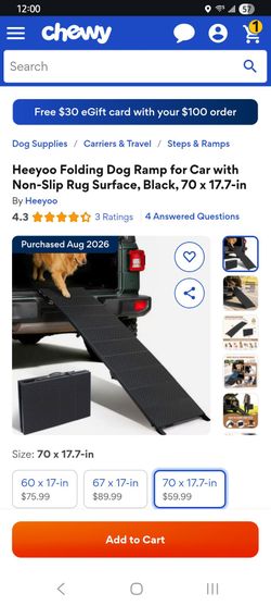 DOG RAMP IN BOX NEW