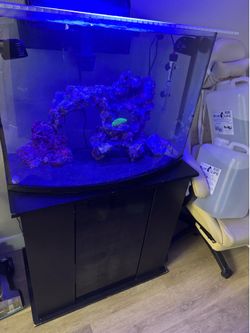 40g fish tank