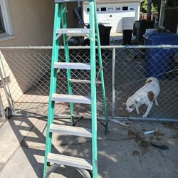 Werner 6 Ft Ladder