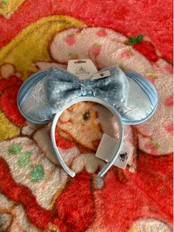 Disney Princess Cinderella theme Minnie Mouse adult ears