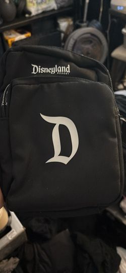 Disneyland bag