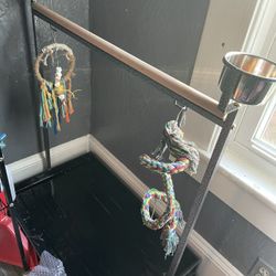 Stand Parrots 