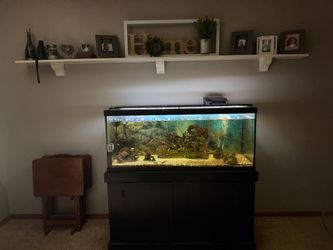 75 Gallon fish tank with pump