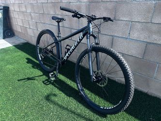 Rockhopper expert 29 medium