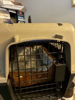 Cat carrier, cat crate free