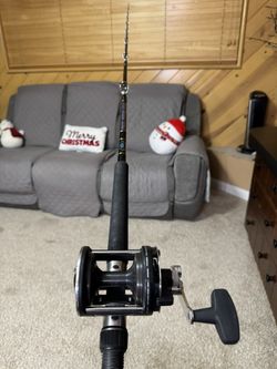 Penn Power Stick/ Penn 225 Lever Drag Saltwater Fishing Combo