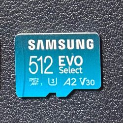 2 Samsung EVO Select 512GB microSD Cards