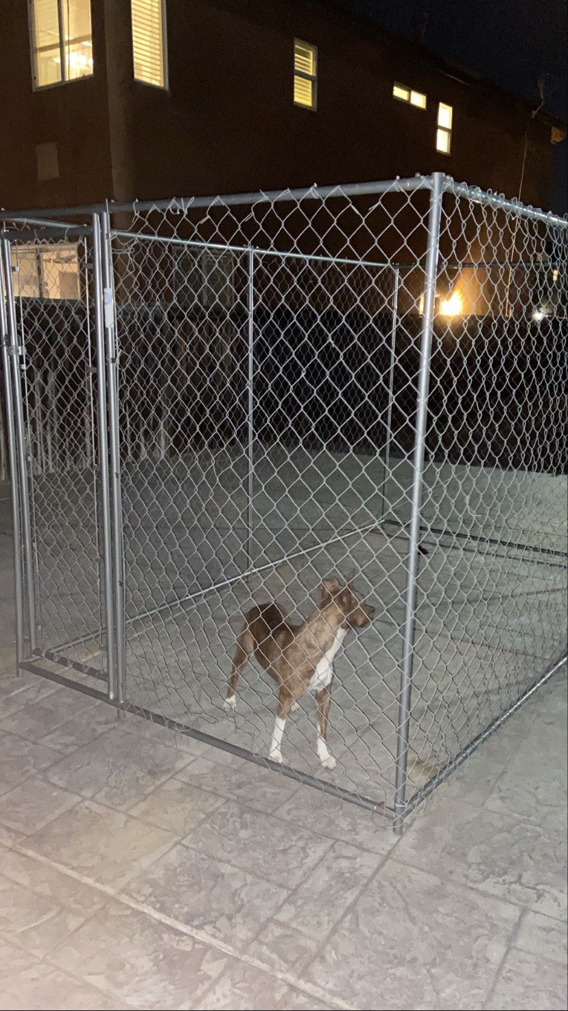 Dog Cage / Kennel for Sale in Temecula, CA OfferUp