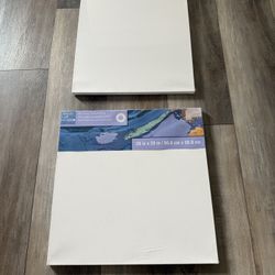 2 Back Stapled Traditional Canvases, New