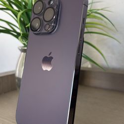 14 Pro 