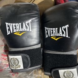 Everlast Boxing Gloves & Heavy Bag Gloves 