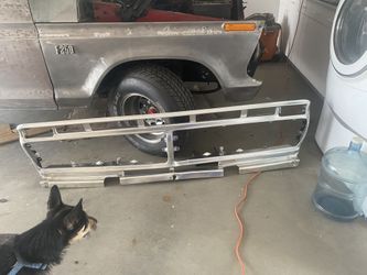 1976 Ford Grill