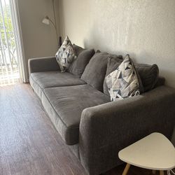 Couch/ Sofa