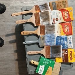 Purdy Paint Brushes 
