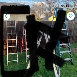 Ladders 