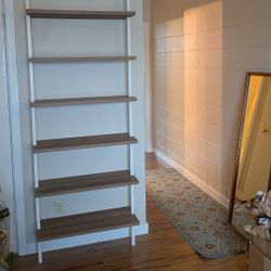 Tall Sturdy Light -Filled Bookcase 