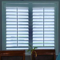 Zebra O Roller Shades