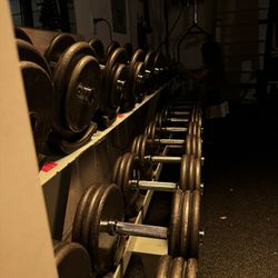 5-60lbs Pro style dumbbells