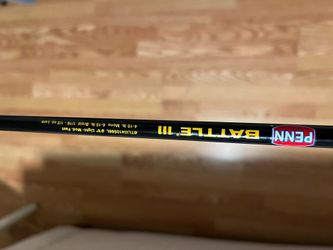 Penn Battle 3 light spinning rod