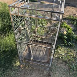Parrot Cage 