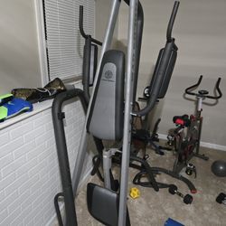 Golds Gym Dip And Pullup Rack