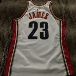 Mitchell & Ness Authentic Lebron James Jersey