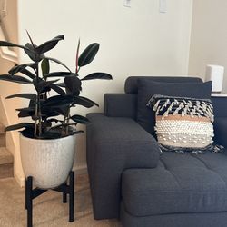 Two Piece Living Room Sofa Charcoal 