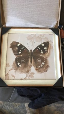 Butterfly watercolor in frame