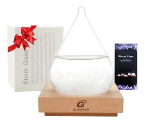 Storm Glass Cool Unusual Gifts Storm Glass Weather Predictor Snow Globes for Adults Galileo Thermometer