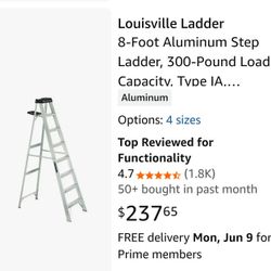 12' Aluminum Ladder