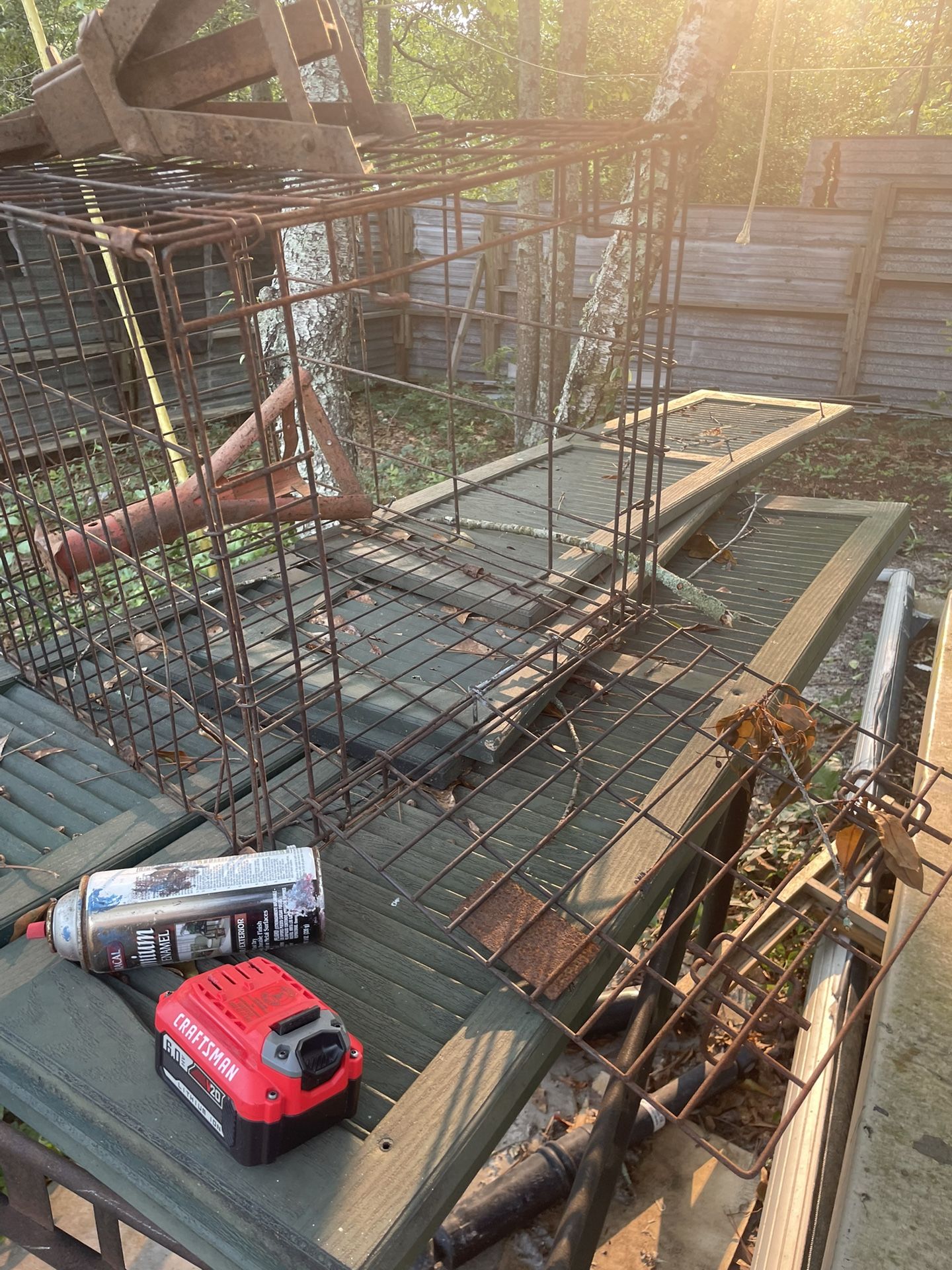 Medium Size Cage