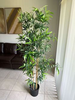 Bamboo Artificial