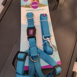 Dog Harness and Leash