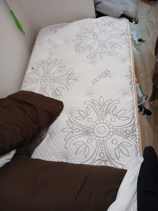 Twin Box Spring And Mattress And Frame