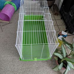 Rabbit Cage