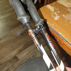 REI TARN 7075T6 Aluminum Hiking Poles