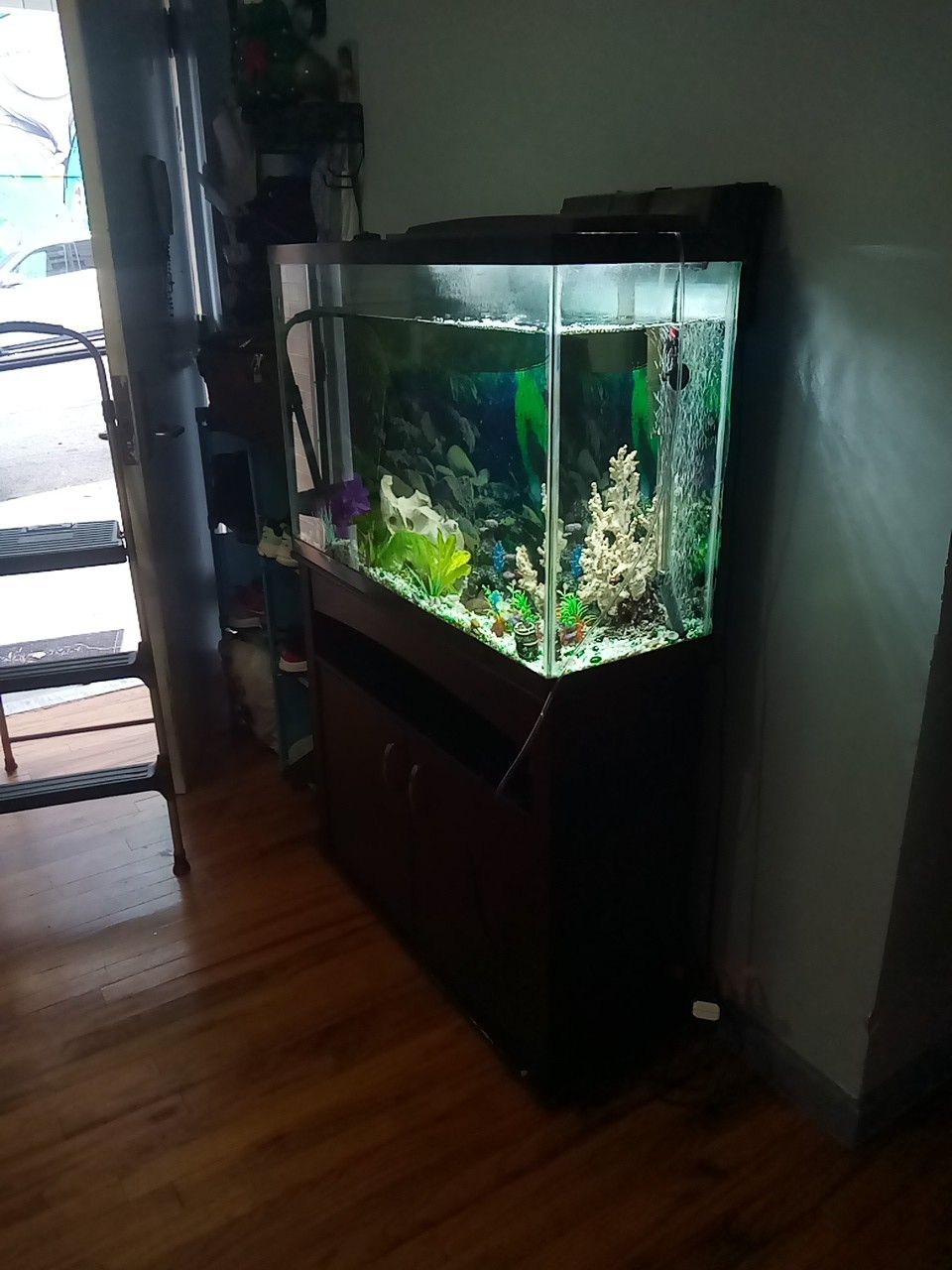 55 Gallon Fish tank with stand and heater filter and oxygen pump included.