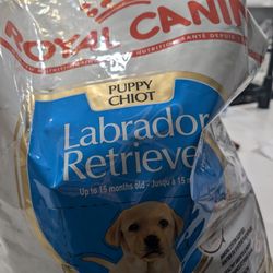 Puppy Food