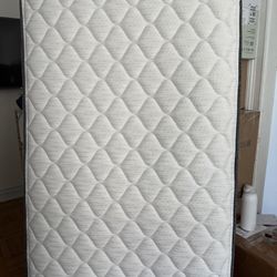 Twin Organic Mattress $100