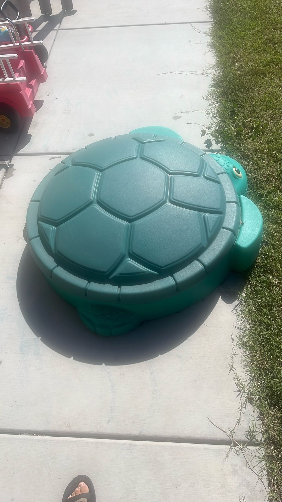 Turtle Sand Box