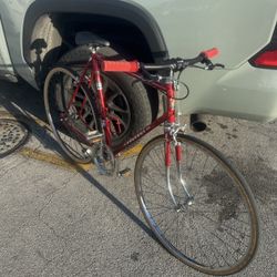 Single Speed Peugeot Vintage Red 