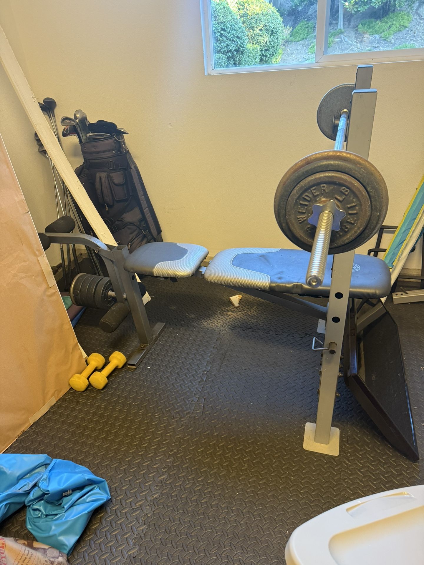 Weight Bench and weights