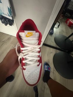 Nike dunk low retro size ten