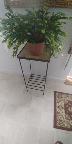 Iron and Tile plant stand