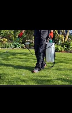 Grass /weed control