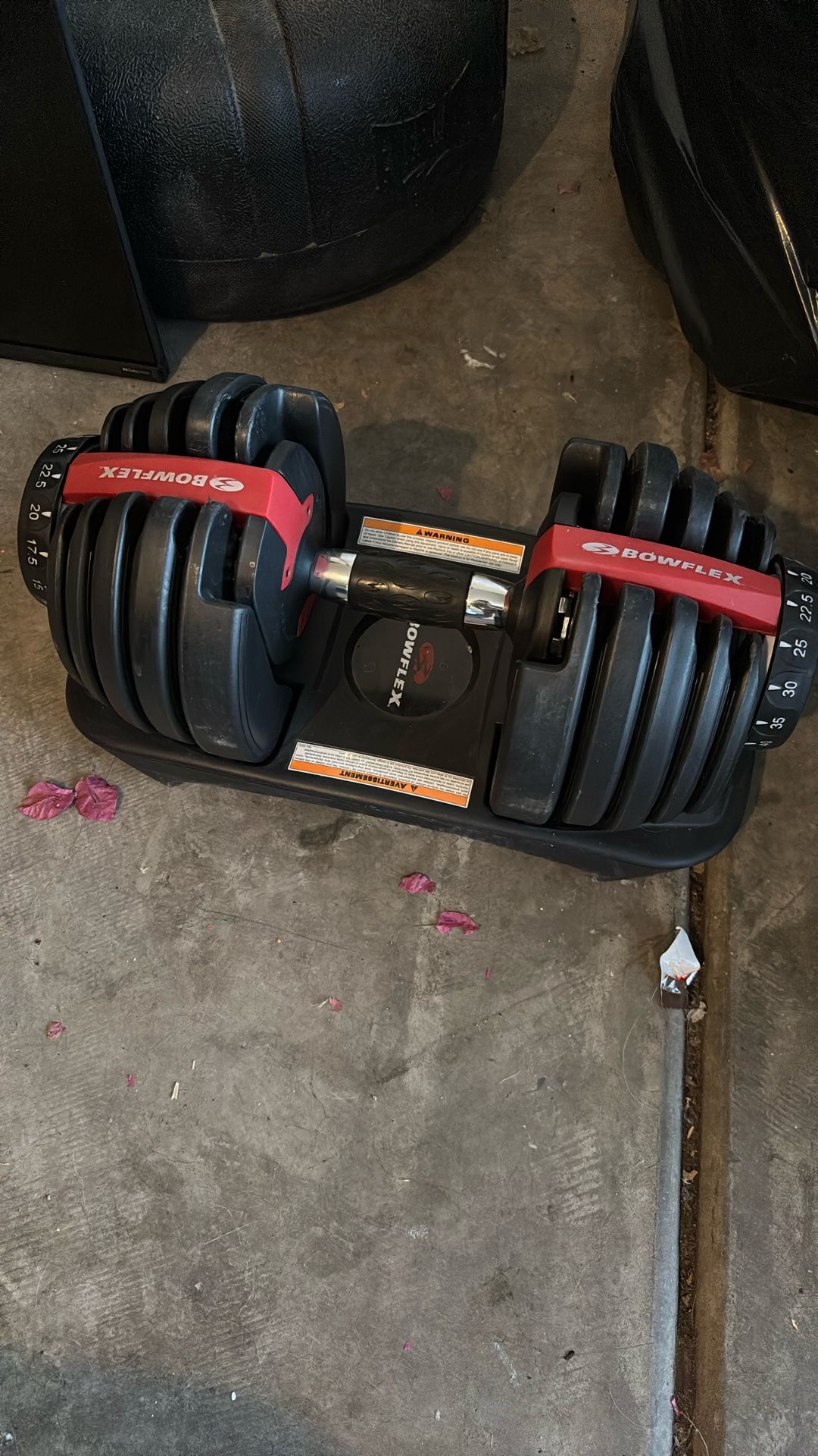 Bowflex Weights