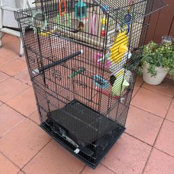 Bird Cage (With Toys & Feeder) 