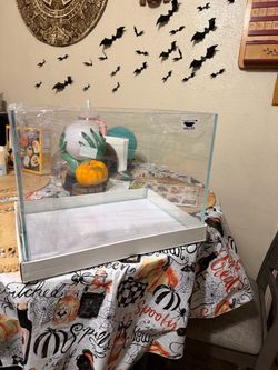 7.5 Gallon Rimless Aquarium