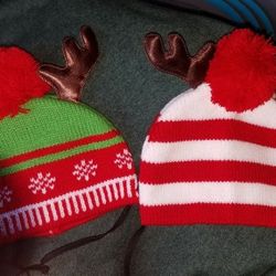 Xmas doggy hats