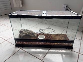 Reptile Tank 20 Gallons